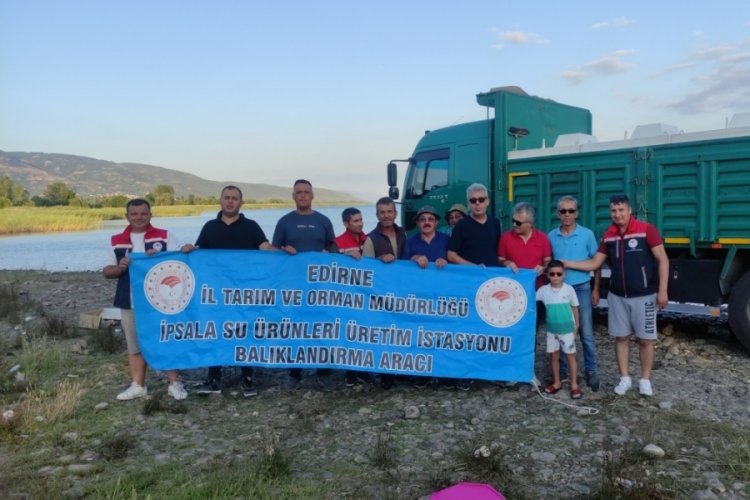 Bursa'da g&ouml;l ve g&ouml;letlere milyonlarca yavru sazan bırakıldı