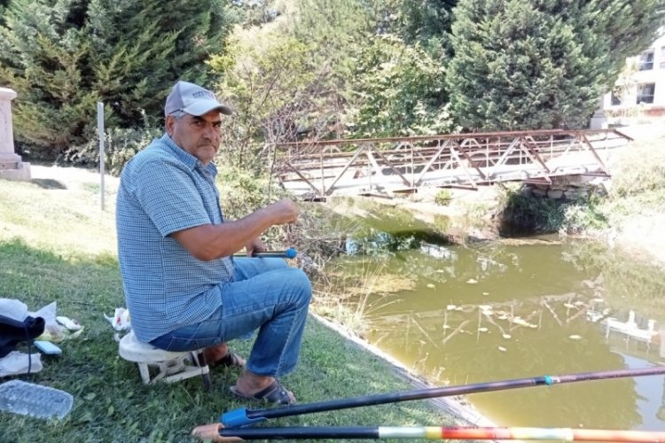 Eskişehir'de kanlıkavak park'ındaki eski k&ouml;pr&uuml; tehlike sa&ccedil;ıyor: Vatandaş tepkili