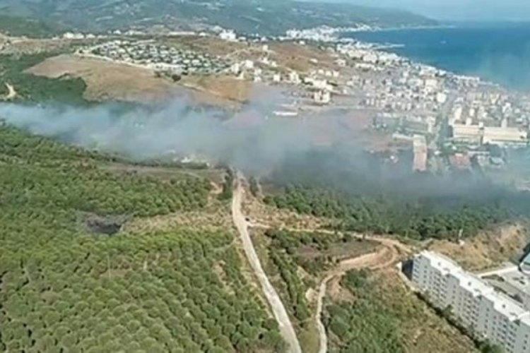 Yalova'da ormanlar, 8 g&uuml;nde 3 kez yandı: Bursa'dan helikopter istedik