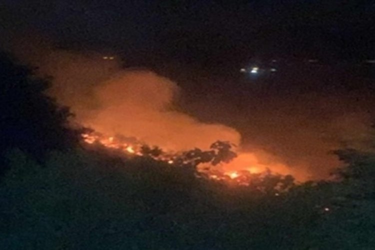 Armutlu'da ormanlar 8 g&uuml;nde 3 kez yandı
