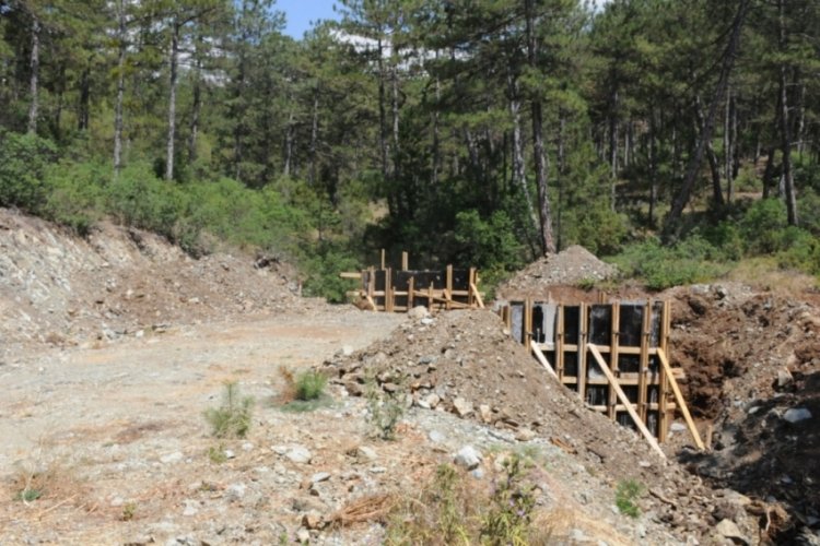 K&uuml;tahya'da ormanlara yapılan yatırımlar titizlikle incelendi!