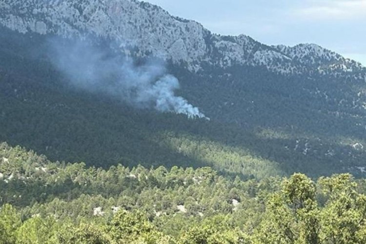 Antalya'da orman yangını! M&uuml;dahale s&uuml;r&uuml;yor