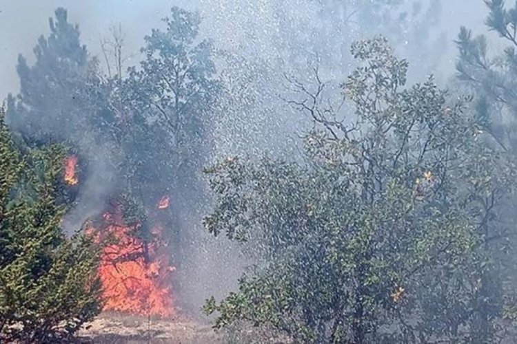 3 ilde orman yangını! Havadan ve karadan m&uuml;dahale ediliyor