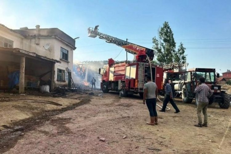 K&uuml;tahya'da yangın! 14 b&uuml;y&uuml;kbaş telef oldu