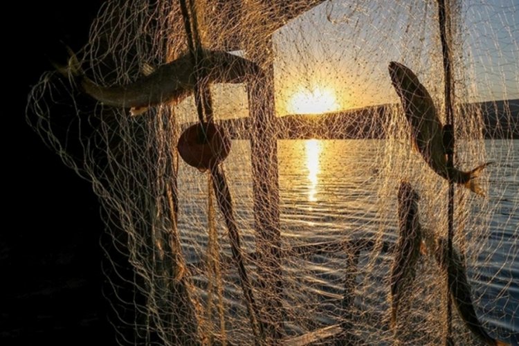 Tarım ve Orman Bakanlığı'ndan su &uuml;r&uuml;nleri avcılığına y&ouml;nelik d&uuml;zenleme
