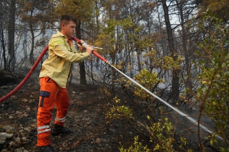 Bursa'daki orman yangını kısmen kontrol altına alındı