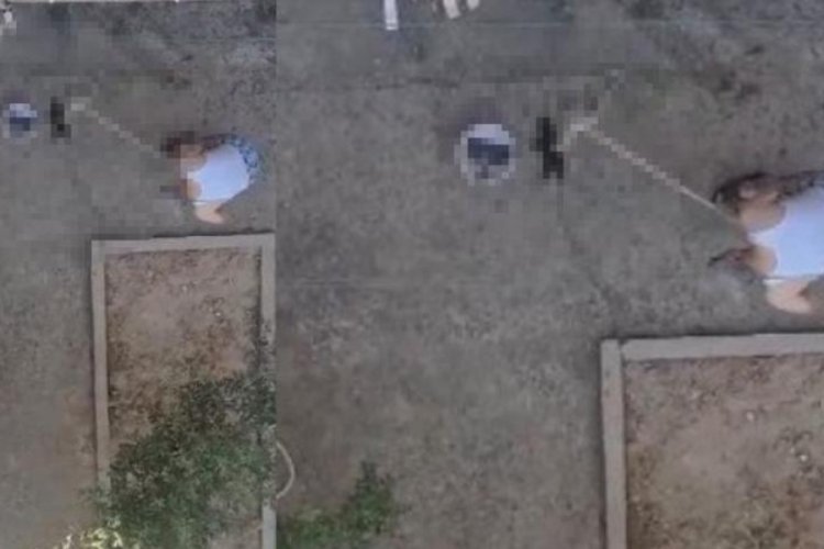 Manisa'da vahşet: 3 yavru kediyi fır&ccedil;a sapıyla &ouml;ld&uuml;rd&uuml;