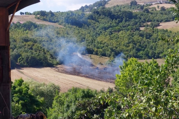 Anız yangını ormana sı&ccedil;ramadan s&ouml;nd&uuml;r&uuml;ld&uuml;