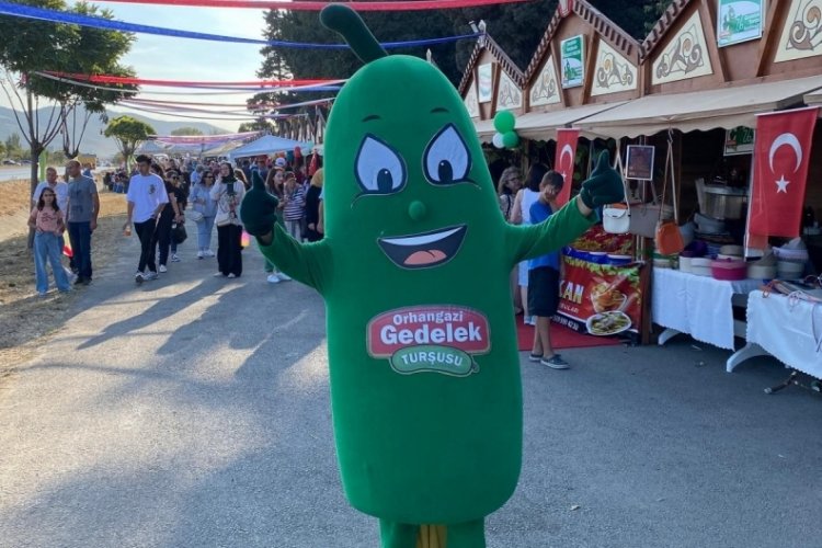 Bursa'da Gedelek turşu festivali başlıyor