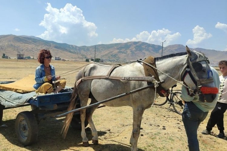 Bisikletiyle Muş'a gelen aktivist kadın, Berivanlarla birlikte koyun sağdı