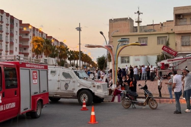 Mardin'de tırın &ccedil;arptığı kadın hayatını kaybetti