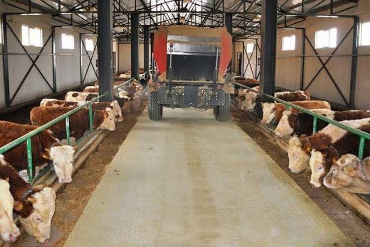 Dev &ccedil;iftlik iflasın eşiğine geldi