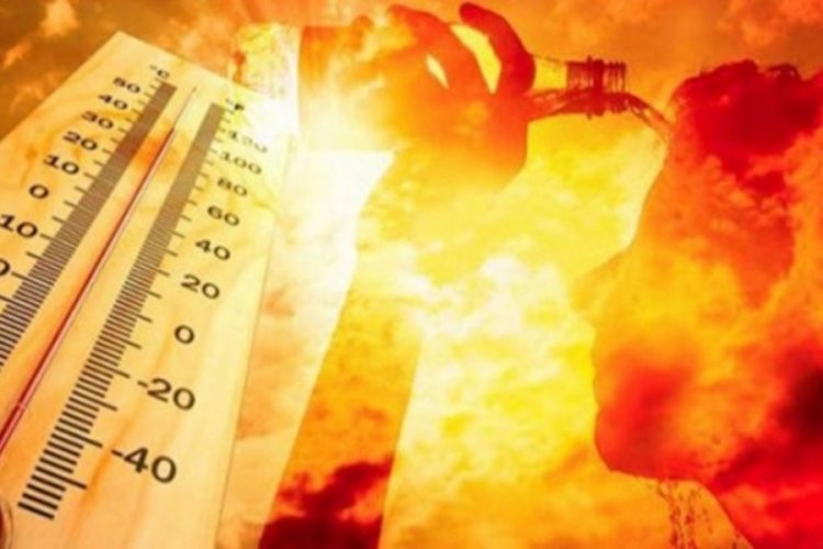 D&uuml;nya son 30 yılın en sıcak g&uuml;nlerini yaşadı!