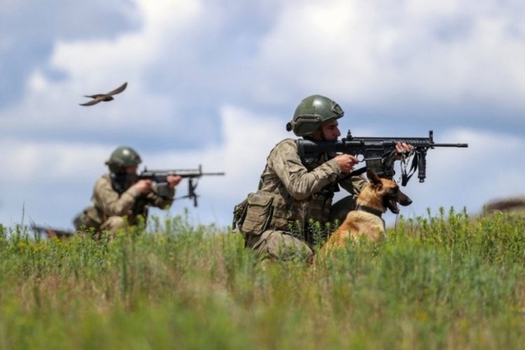 2 PKK'lı ter&ouml;rist etkisiz hale getirildi