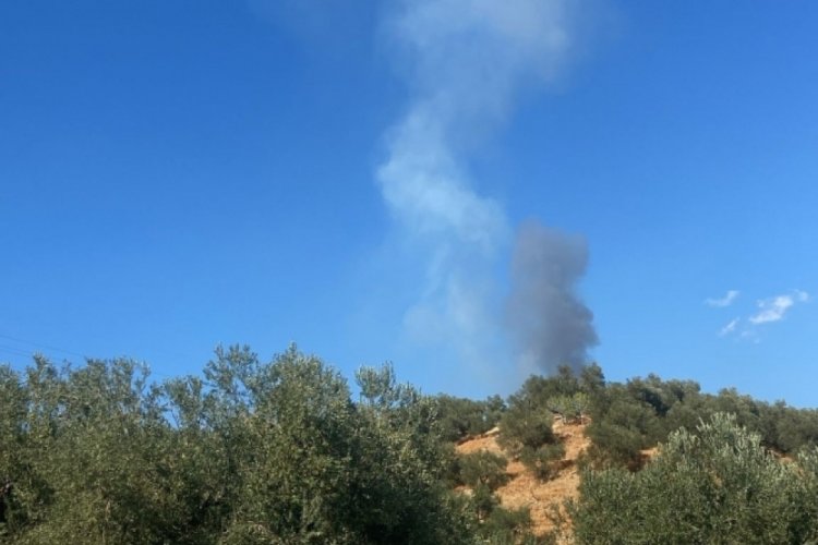 &Ccedil;anakale'de orman yangını