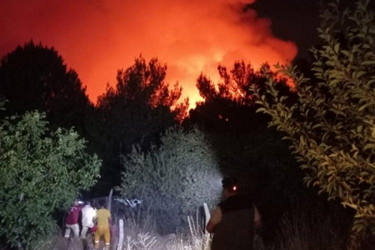 İzmir Karşıyaka'da orman yangını