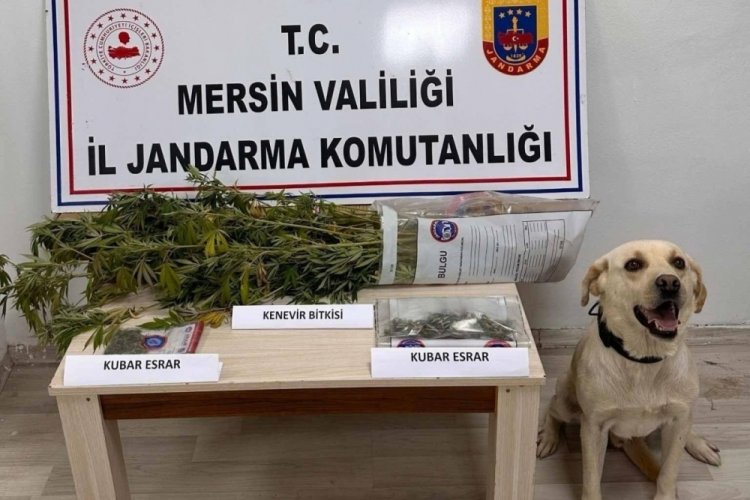 Mersin'de uyuşturucu operasyonları: 7 g&ouml;zaltı