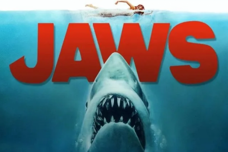 Jaws filminin konusu nedir? Jaws filmi oyuncuları kimler? Jaws filmi nerede ve ne zaman çekildi? Jaws filmi yönetmen koltuğunda kim var? 