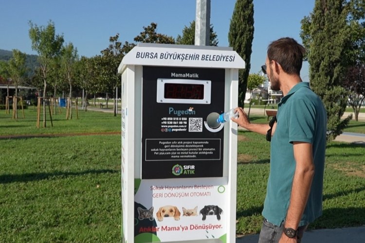 Bursa B&uuml;y&uuml;kşehir Belediyesi'nden sokak hayvanları projesi