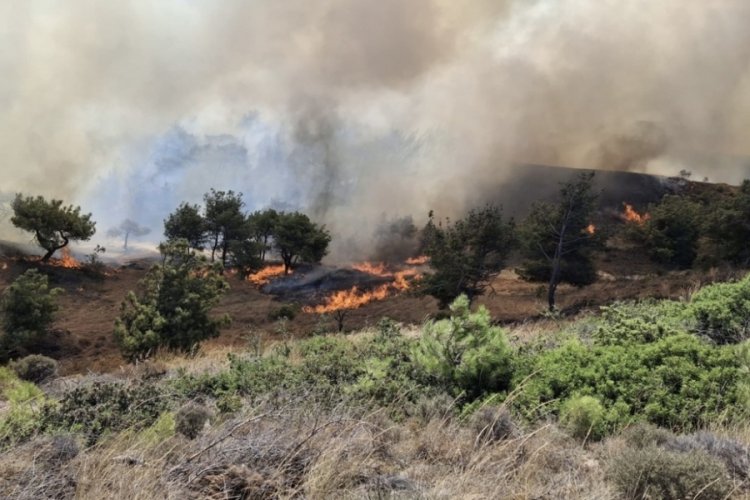 &Ccedil;anakkale'de b&uuml;y&uuml;k orman yangını&nbsp;