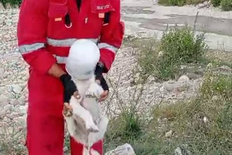 Hatay'da kafası sıkışan yaramaz k&ouml;peğin imdadına itfaiye ekipleri yetişti!