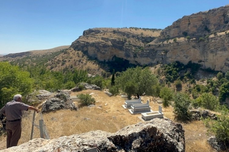 Tunceli'de yolunu şaşıran dağ ke&ccedil;isi yaşam alanına indi!