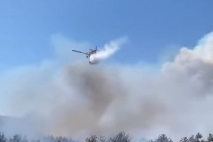 &Ccedil;anakkale yangını kontrol altında! 30 hektar alan k&uuml;le d&ouml;nd&uuml;&nbsp;