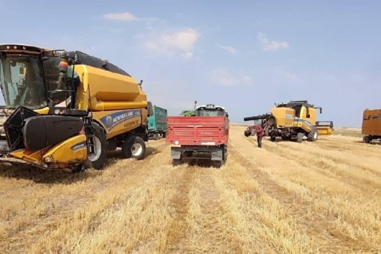 Tarımsal &ouml;rg&uuml;t belgesinin ge&ccedil;erlilik s&uuml;resi bir yıl olacak