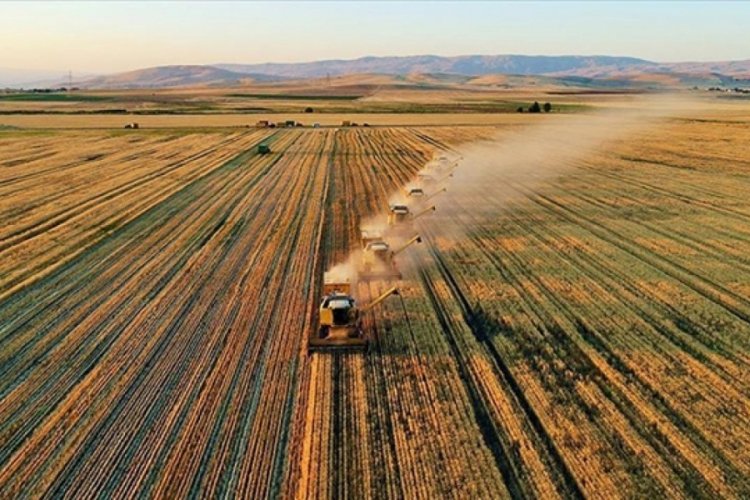 Tarım &Uuml;FE temmuzda aylık azaldı, yıllık y&uuml;kseldi