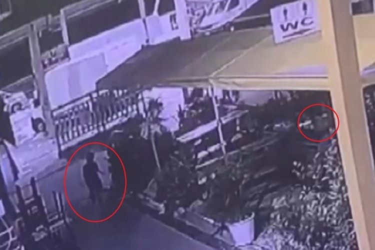Bursa'da esnafın beslediği 'Kontes' buzdolabında &ouml;l&uuml; bulundu!