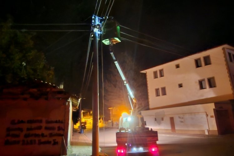 Elektrik direğine &ccedil;arpan s&uuml;r&uuml;c&uuml; kayıplara karıştı