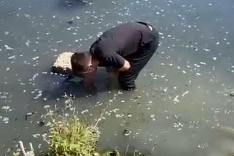 Bolu'da atıklarını dereye boşaltan firmaya ceza!