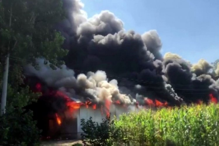 Sakarya'da korkutan yangın