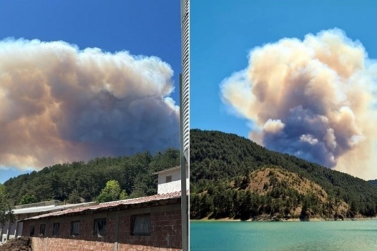 Bolu'da orman yangını! &Ccedil;ok sayıda ekip sevk edildi