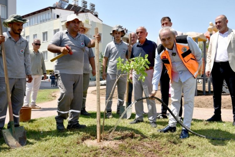 Antalya'da Başkan Kocag&ouml;z bakım yapılan parka ilk fidanı dikti