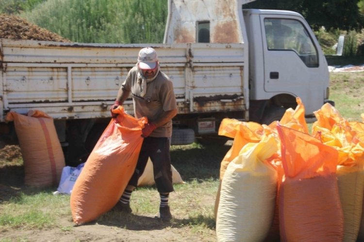 Yılda sadece 1,5 ay &ccedil;alışıp, saatte 3 bin 500 TL kazanıyorlar!