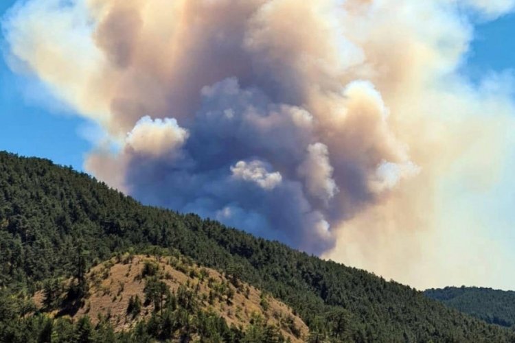 Bolu'da ormanlık alanda yangın: 2 k&ouml;y tahliye edildi