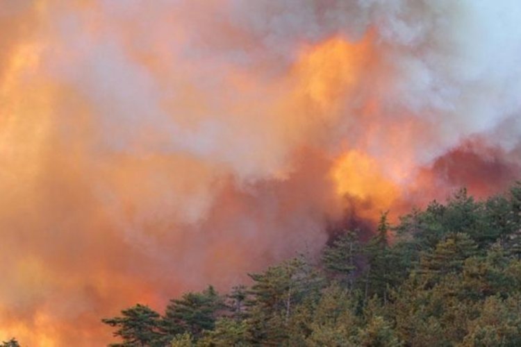 Bolu'da orman yangını 21'nci saatinde! S&ouml;nd&uuml;rme &ccedil;alışmaları devam ediyor