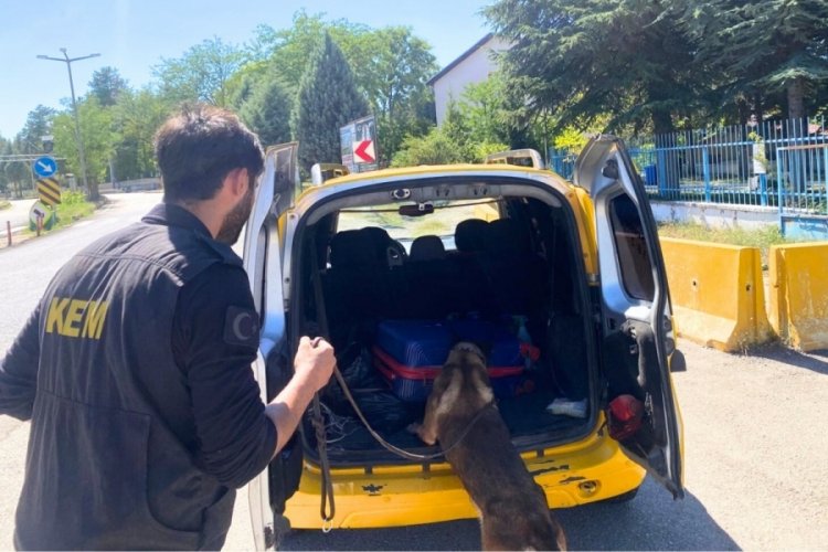 Kastamonu'da aranan 3 şahıs yakalandı