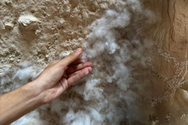 Kapadokya'da skandal g&ouml;r&uuml;nt&uuml;ler sonrası harekete ge&ccedil;ildi!