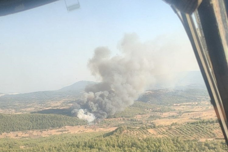 Muğla'nın Milas il&ccedil;esindeki ormanlık alanda yangın &ccedil;ıktı.