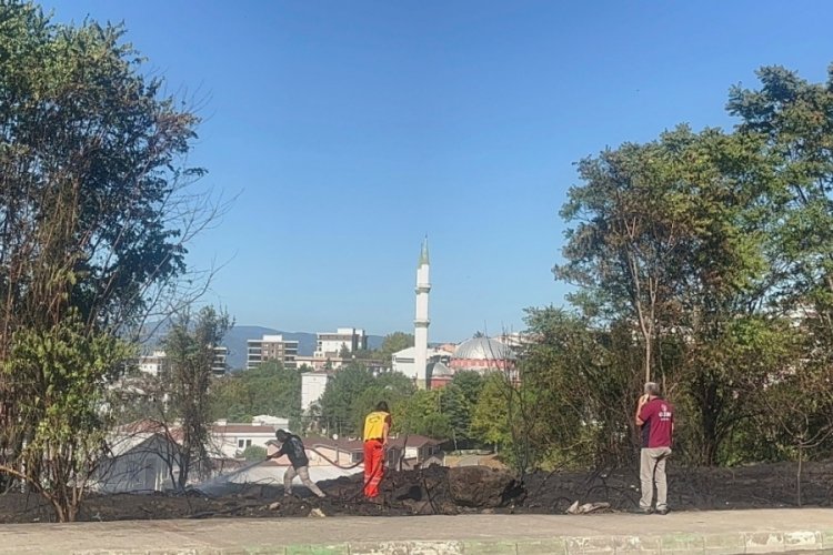 Bursa'da ağa&ccedil;lık alanda yangın