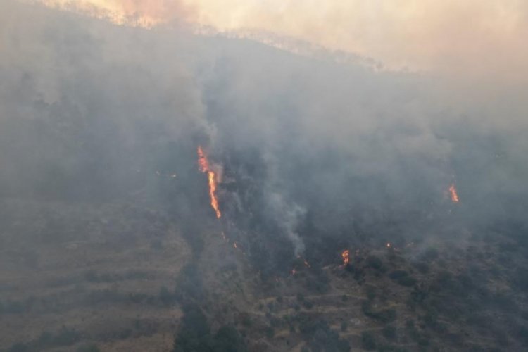 Aydın'daki  yangın yerleşim yerlerini tehdit etmeye başladı