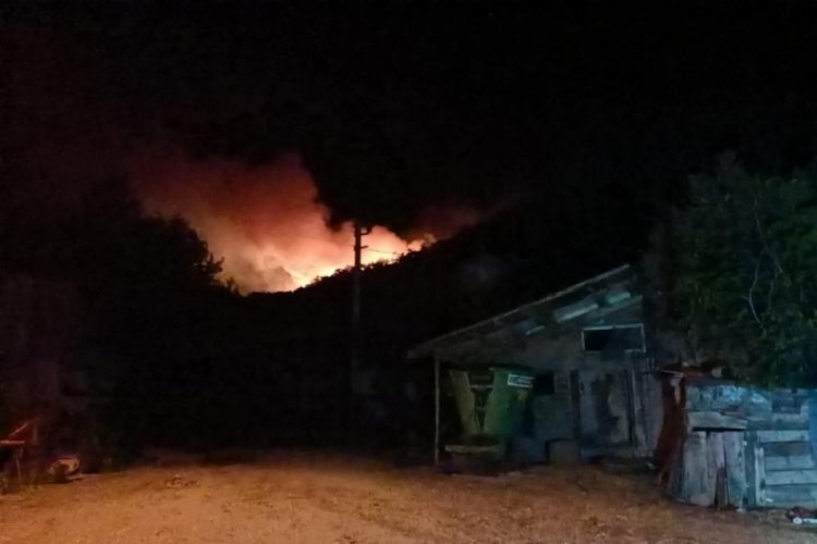 Bolu'daki orman yangını 2'nci gecesinde