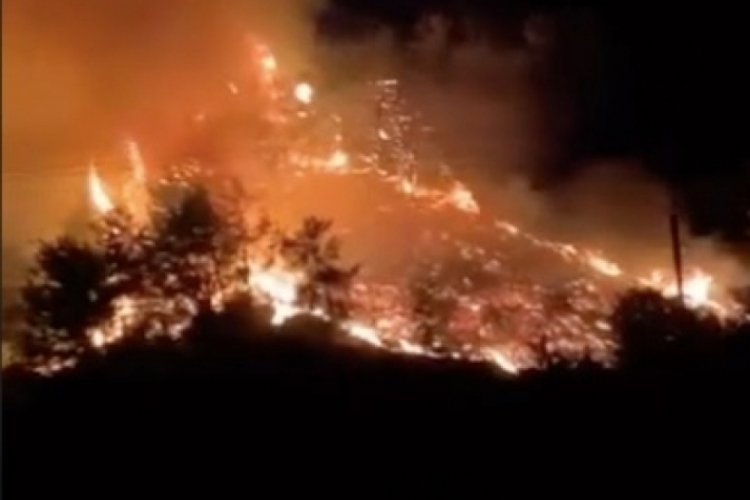 Antalya'da orman yangını!