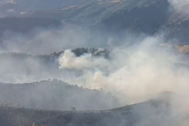 Manisa'daki orman yangınında 4'&uuml;nc&uuml; g&uuml;n: Bir mahalle k&uuml;l oldu