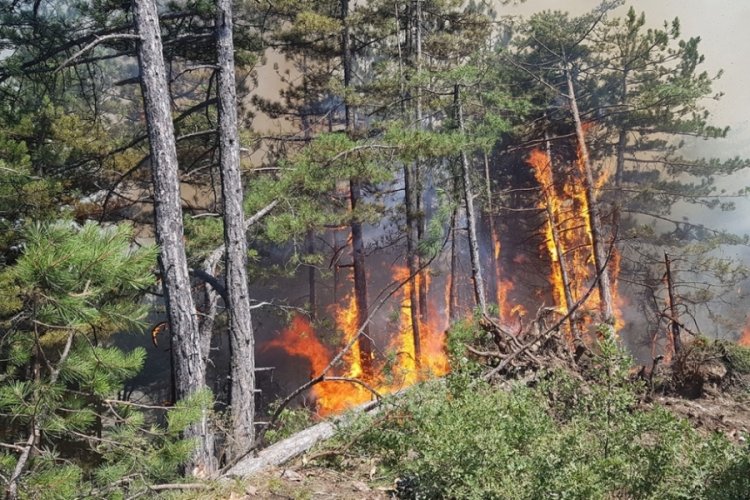 Karab&uuml;k'teki orman yangını r&uuml;zgarın etkisiyle b&uuml;y&uuml;yor