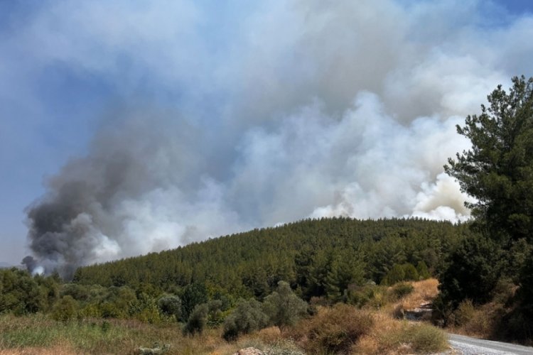 Muğla'nın Yatağan ve Ula il&ccedil;elerinde yangın devam ediyor!