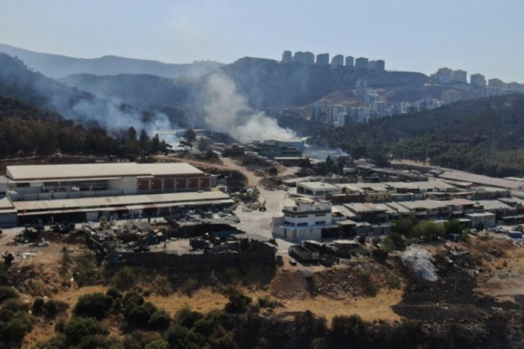 İzmir'de yanan b&ouml;lgenin g&ouml;r&uuml;nt&uuml;leri yayınlandı!
