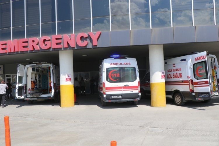 Başıboş k&ouml;pekler bah&ccedil;ede oturan yaşlı kadına saldırdı